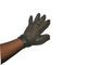 Nilón de los guantes del acero inoxidable y correa protectores del metal para el carnicero