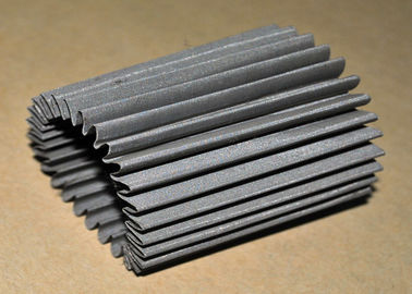304 SS plisaron el cartucho de filtro de malla de alambre/el elemento con capa sola/multi