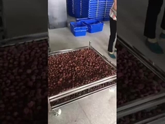 de acero inoxidable, con una capacidad de adherencia superior a 300 W