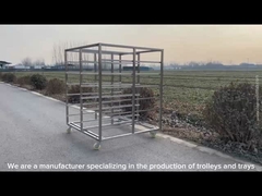 Tamaño personalizado de acero inoxidable bandeja de bastidor de carrito