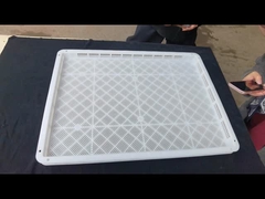 Envases para secar alimentos de plástico de PP