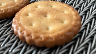 Malla de alambre da alta temperatura resistente al calor de la raspa de arenque del transportador de la panadería del metal del acero inoxidable 304 Bisc