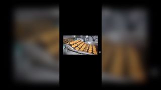 Correa plana de la flexión de la malla de alambre del transportador de la alambrada de la escalera del horno de la pizza del acero inoxidable para el traje del chocolate,