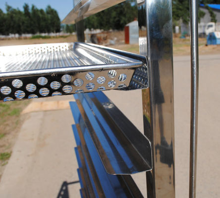Cacerola de acero inoxidable del parásito de la carretilla del estante del Fda adaptable de la placa