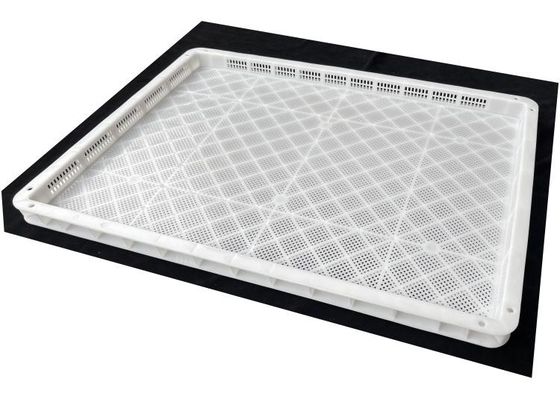 Envases de plástico con ventilación para congelación, almacenamiento, secado, apilamiento de frutas y mariscos