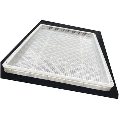 Un buen precio. bandejas de secado de plástico perforadas y apilables de grado alimenticio utilizadas para la congelación de frutas y verduras bandejas de congelación de mariscos en línea